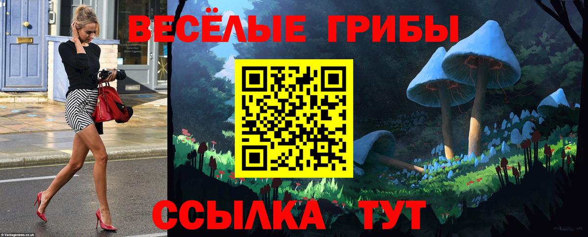 Псилоцибиновые грибы Psilocybe Серпухов