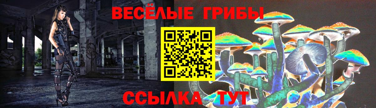 сколько стоит  Псилоцибиновые грибы прущие грибы  Вход с VPN  Серпухов 